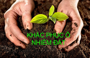 Biện pháp khắc phục tình trạng ô nhiễm đất